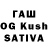 Галлюциногенные грибы Cubensis kornownsu