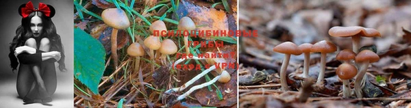 ALPHA-PVP Армянск