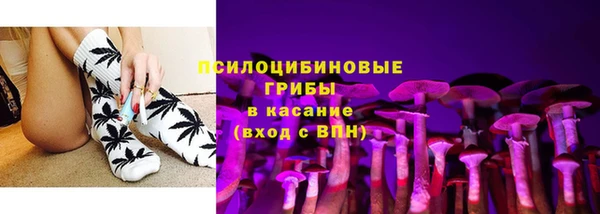 a pvp Аркадак
